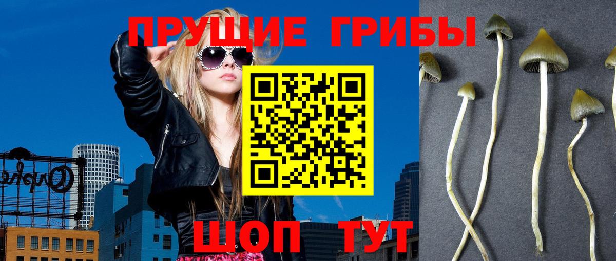 Галлюциногенные грибы GOLDEN TEACHER  Галлюциногенные грибы прущие грибы  Курчатов  Вход с VPN 