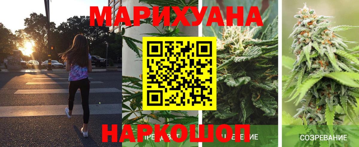Шишки марихуана семена Курчатов